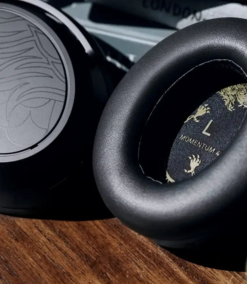 Momentum Sport 图片 02