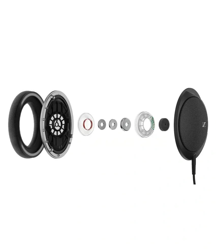 Momentum Sport 图片 02