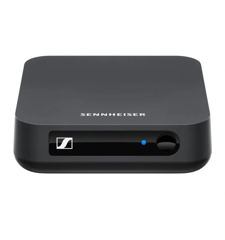 Momentum Sport 图片 02