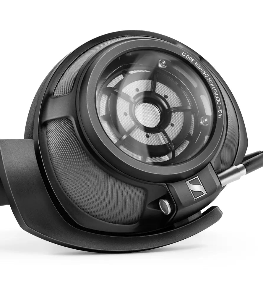 Momentum Sport 图片 02