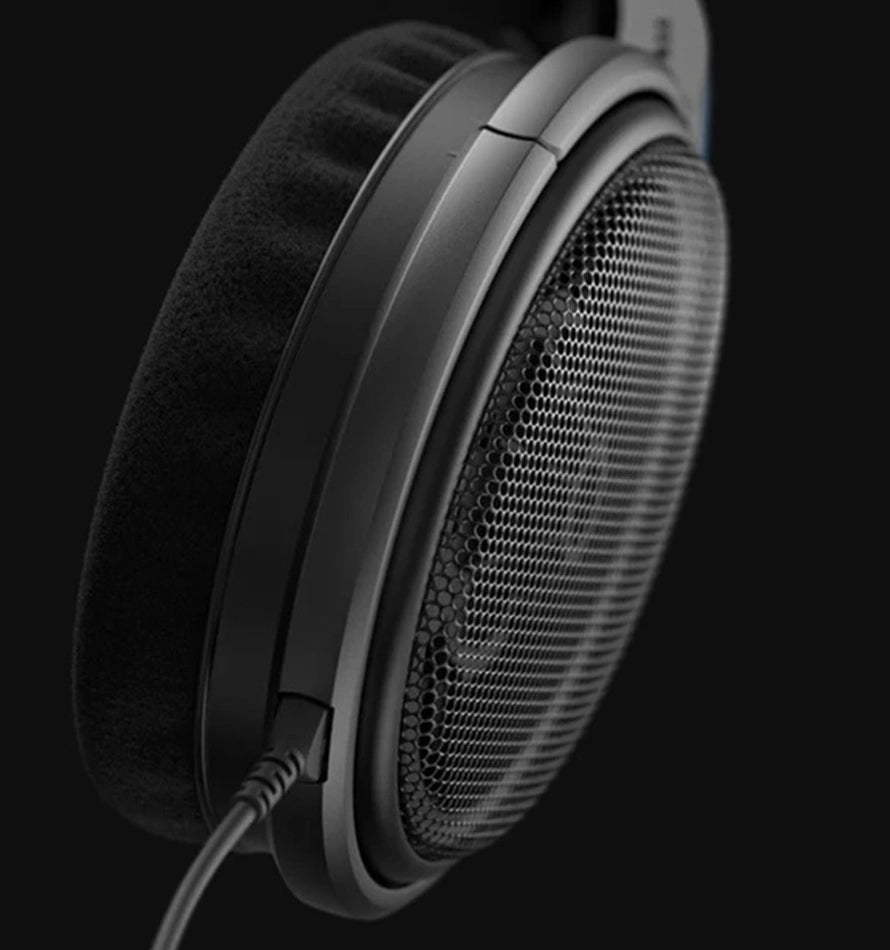 Momentum Sport 图片 02