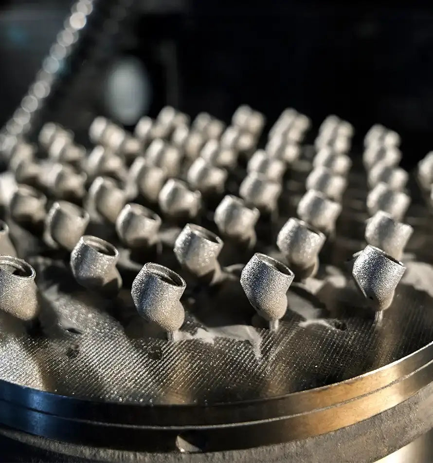 Momentum Sport 图片 02