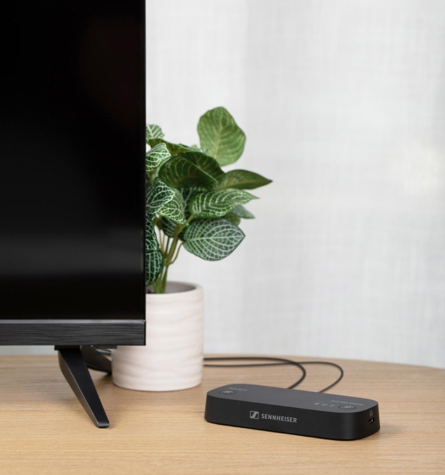 Momentum Sport 图片 02