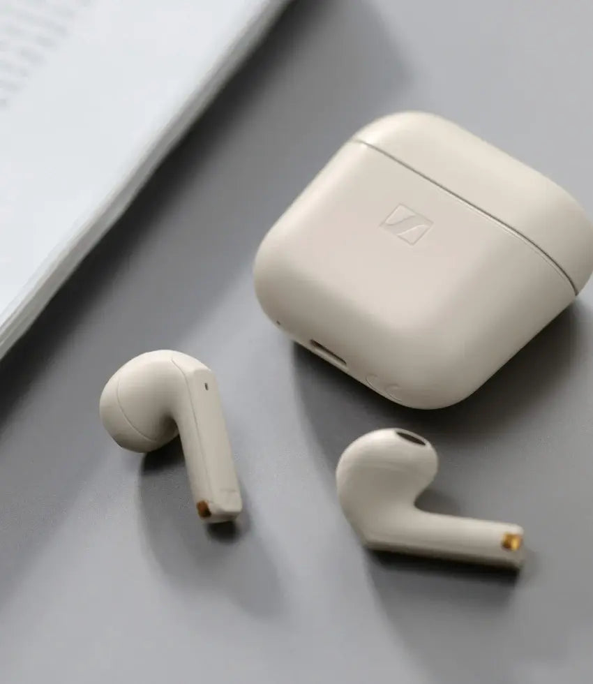 Momentum Sport 图片 02