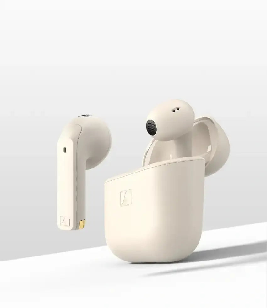 Momentum Sport 图片 02