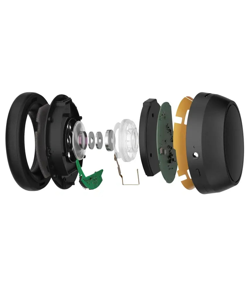 Momentum Sport 图片 02