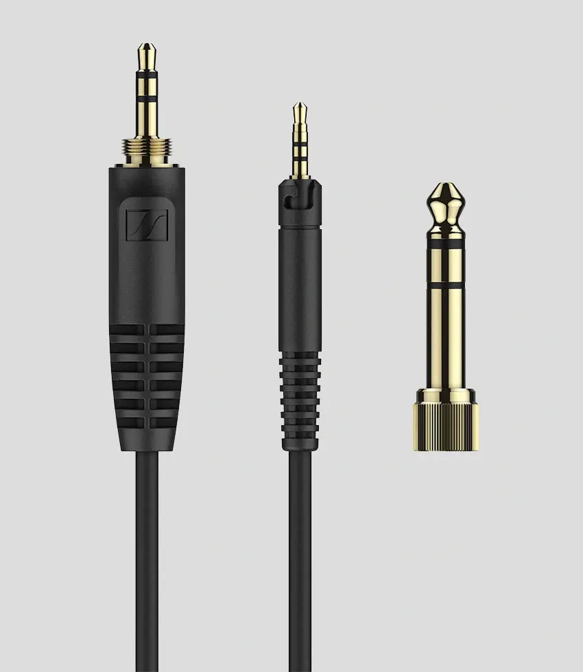 Momentum Sport 图片 02