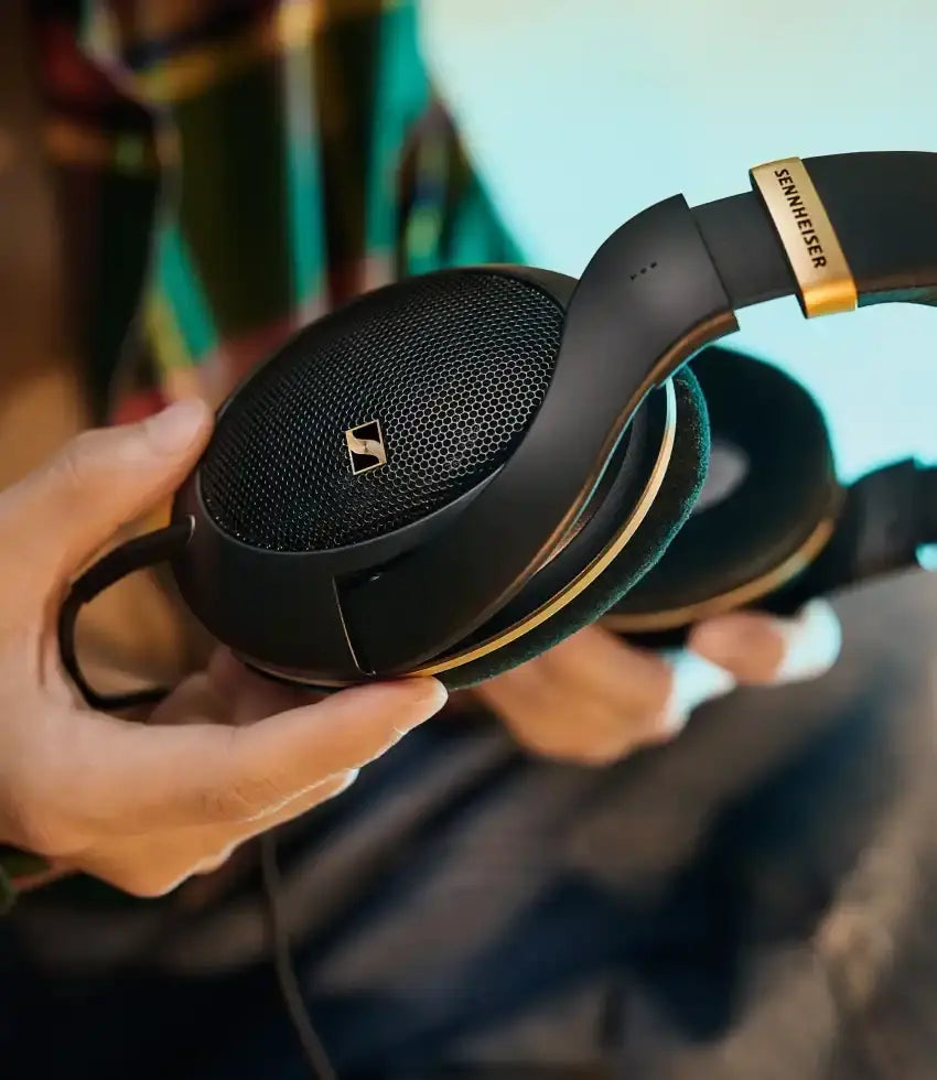 Momentum Sport 图片 02